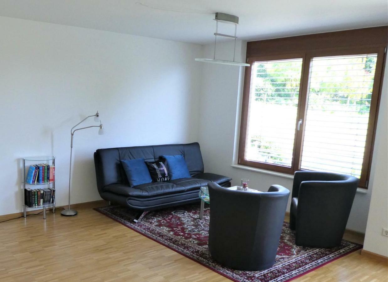 Baselblick Apartment Lorrach